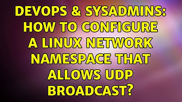 DevOps & SysAdmins: How to configure a Linux network namespace that allows UDP broadcast?