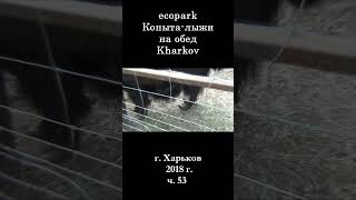 █ ЭкоПарк Харьков ч.53 / Копыта  лыжи / 2018 г.  #shorts