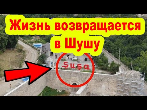 Жизнь постепенно возвращается