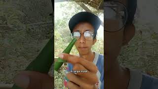 Download Lagu Beginilah cara membuat terompet dari daun pisang #kerajinantangan MP3