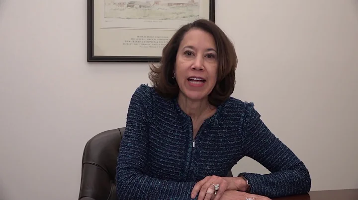 "U.S. experience with implicit bias" - Judge Allys...