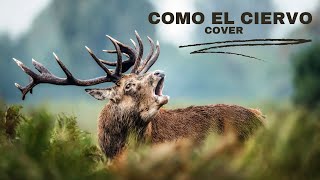 Video thumbnail of "Como el Ciervo Cover Marcos Witt/ Christian Rodriguez"