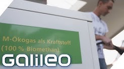 Günstig, sauber, grün: Die beste Alternative zu Benzin | Galileo | ProSieben