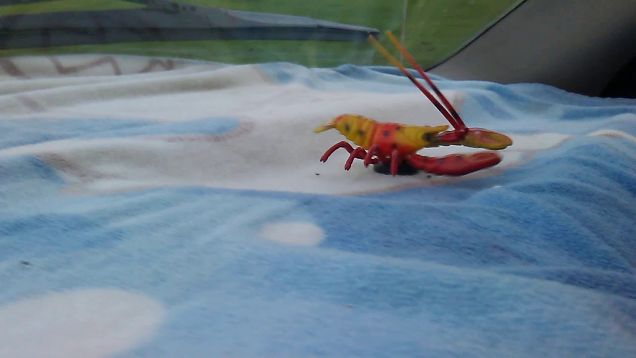 Lobster magnet "cuts loose"