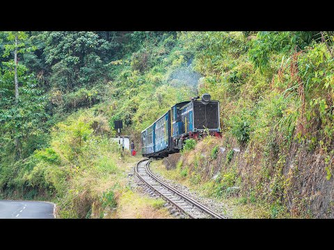 Video: Darjeeling Himalayan Railway Toy Train. Հիմնական ուղեցույց