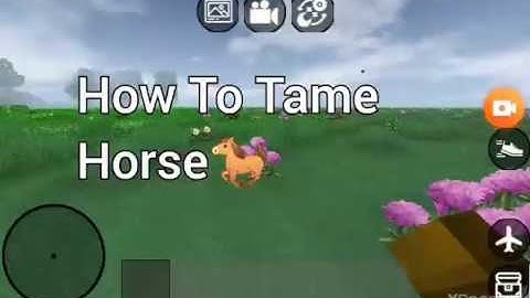 Miniblock craft-How to tame Horse 🐎