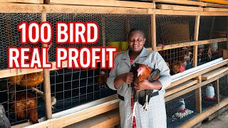Can 100 Chickens Really Make Money Costs, Profit & The Real Truth