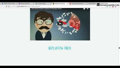 Adobe Spark Page Example