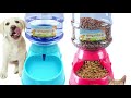 Automatic cat feeder  pet dog water bottle dispenser 5l