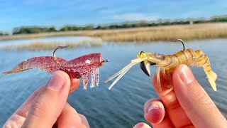 DOA Shrimp vs. Vudu Shrimp: Winter Redfish Contest (Day 1)