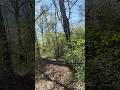 #nature #health #food #walking #forest #naturewalk #netflix #fashion