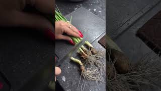 Fast Agressive dinner ASMR #asmr #cooking #dinner #viral