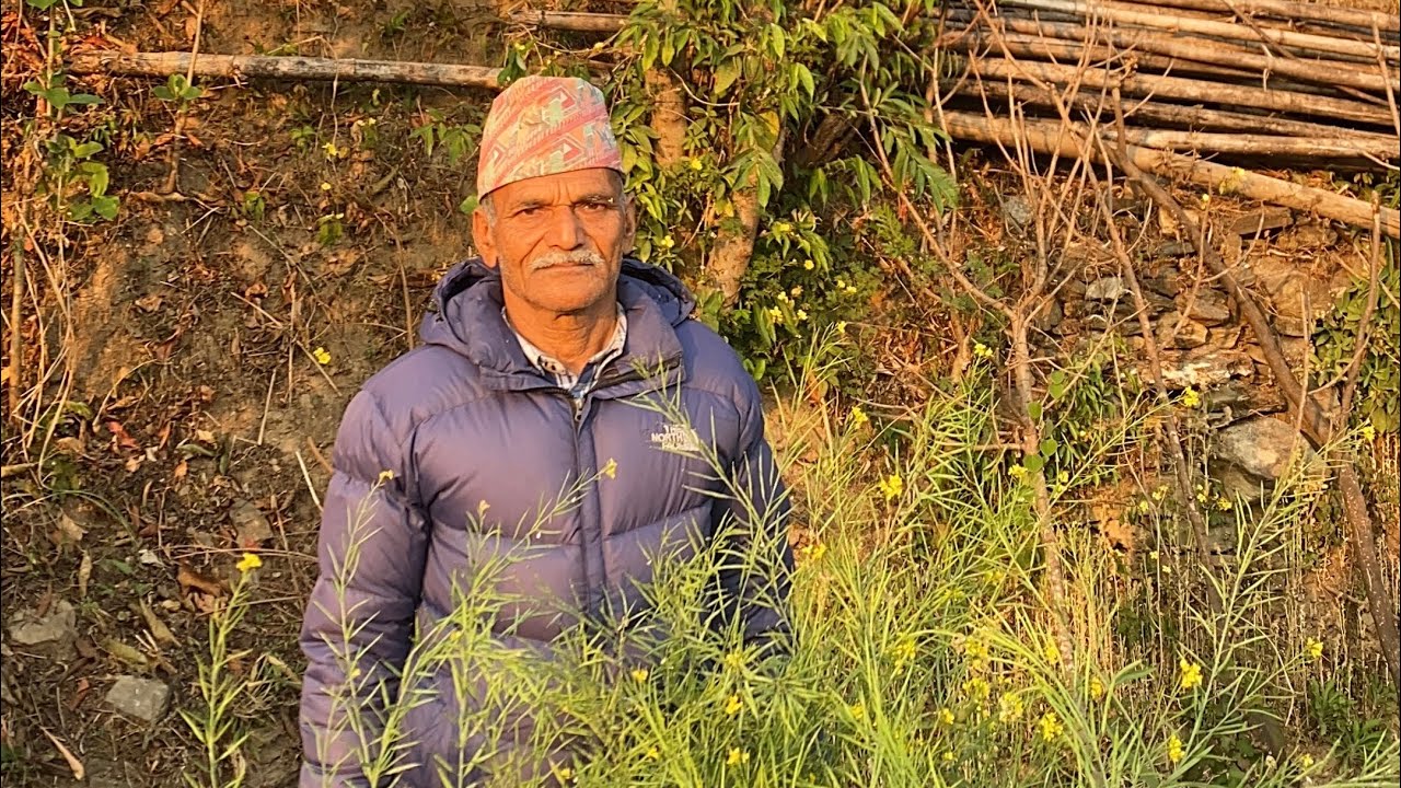 मौरीले यो कारणले आधुनिक घारभन्दा मुडे घारमा बस्न बढि रुचाउँछन् | Nepal Bee Keeping 