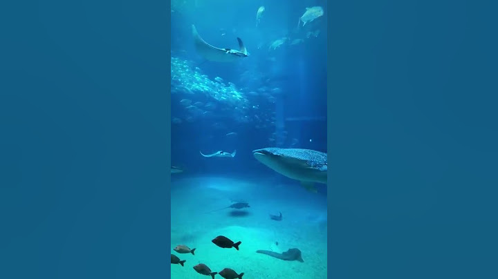 Osaka Aquarium