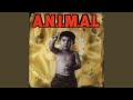 Miniature de la vidéo de la chanson Animal