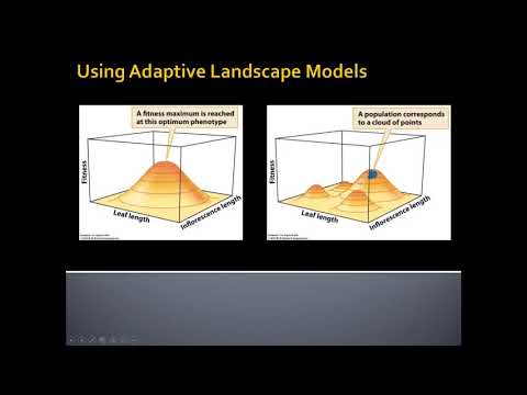 Video: What Is Adaptive Landscape Farming