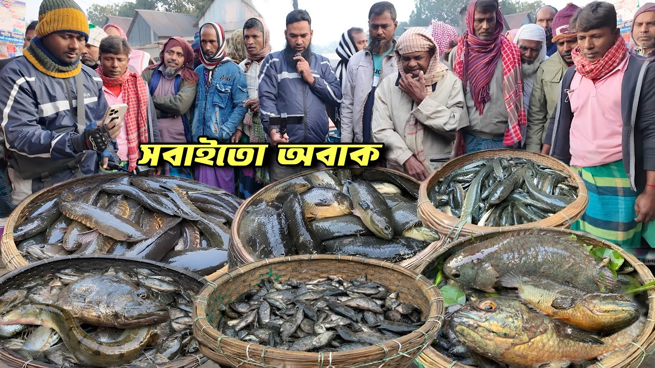 অল্প কিছু টাকা হলেও সহজে কিনতে পারবেন আড়িয়াল বিলের কৈ শিং মেনি শোল ভরপুর! Village fish market dohar