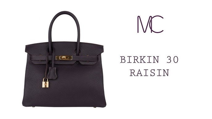 Hermes Birkin 30 Capucine Togo Palladium Hardware #X - Vendome Monte Carlo