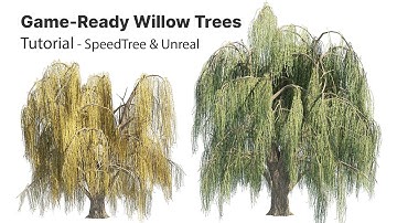 Creating Game-Ready Weeping Willow Trees in SpeedTree & Unreal Engine - Summer & Fall