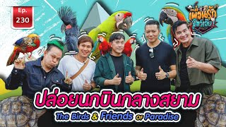 ปล่อยนกบินอิสระ กลางสยาม The Birds&Friends of Paradise |เพื่อนรักสัตว์เอ๊ย EP.230 free flying bird by Saranair Channel 20,808 views 3 weeks ago 17 minutes