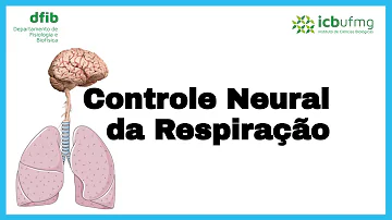 Qual órgão controla as funções involuntárias do organismo?