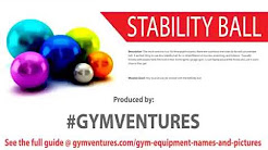 Gym Equipment Guide for Beginners  - Names and Pictures of Workout Machines