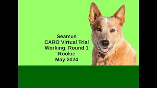 2024 05 CARO Virtual Working 1, Rookie