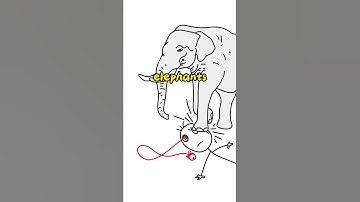 execution by elephant is very cruel