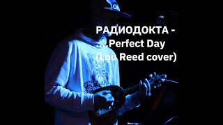 РАДИОДОКТА - Perfect Day ( Lou Reed cover)