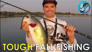How To Make Inactive Fall Bass Bite! | Fall Fishing Tips