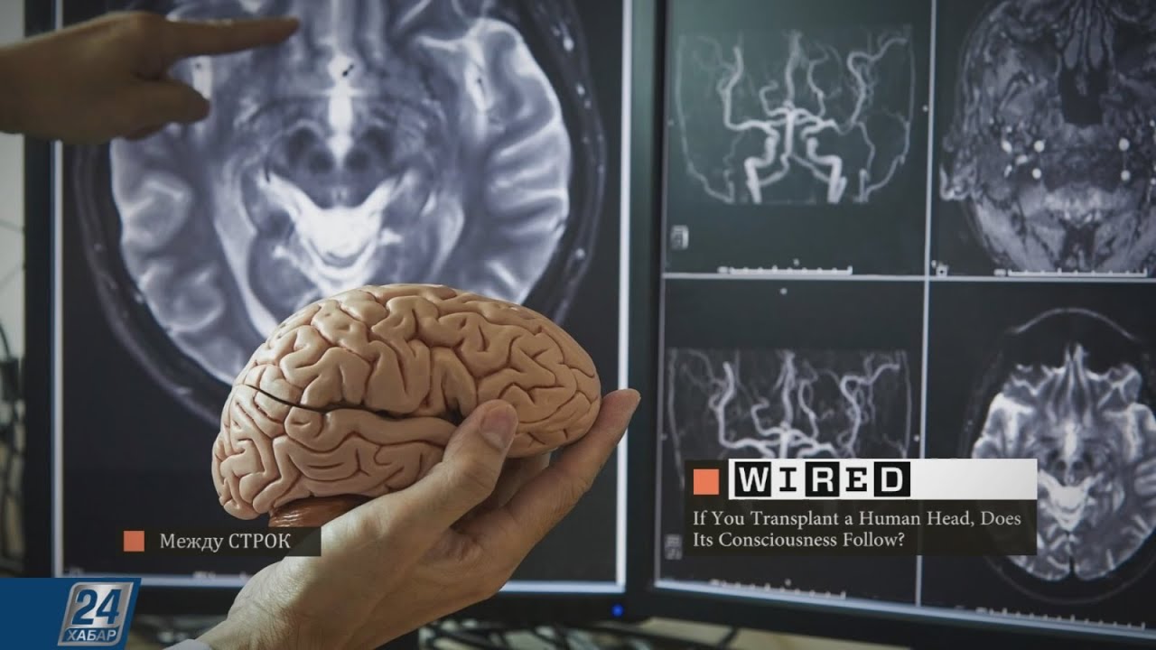 Можно ли перенести сознание из одного тела в другое? | Между строк ...