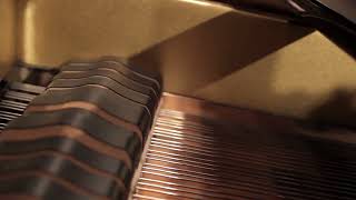 Piano Inside Close Free Stock Video Footage Download Clips Random Objects screenshot 5