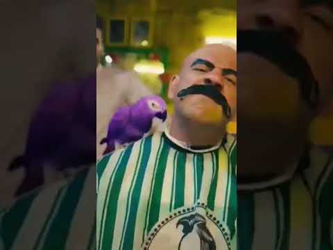 اغنية ولعانه مكي عامل عظمة