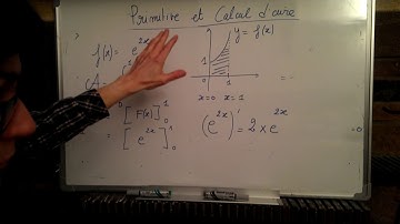 intégrale primitive et calcul d