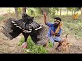 world Man; Hunting turkey - hungry men Eating turkey delicious