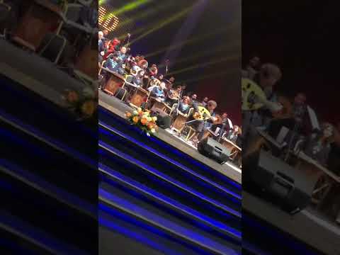 م دن النرجس نصير شمة ٢٠٢٢