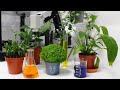Talk: The energy makeover - science, sustainability, and you