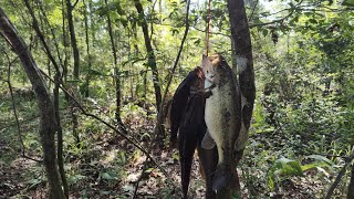 Creek Walking for Supper !!!