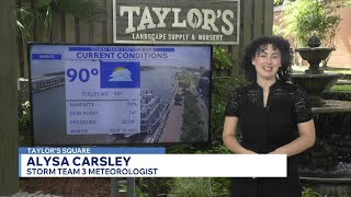 WSAV News 3 Today at 11