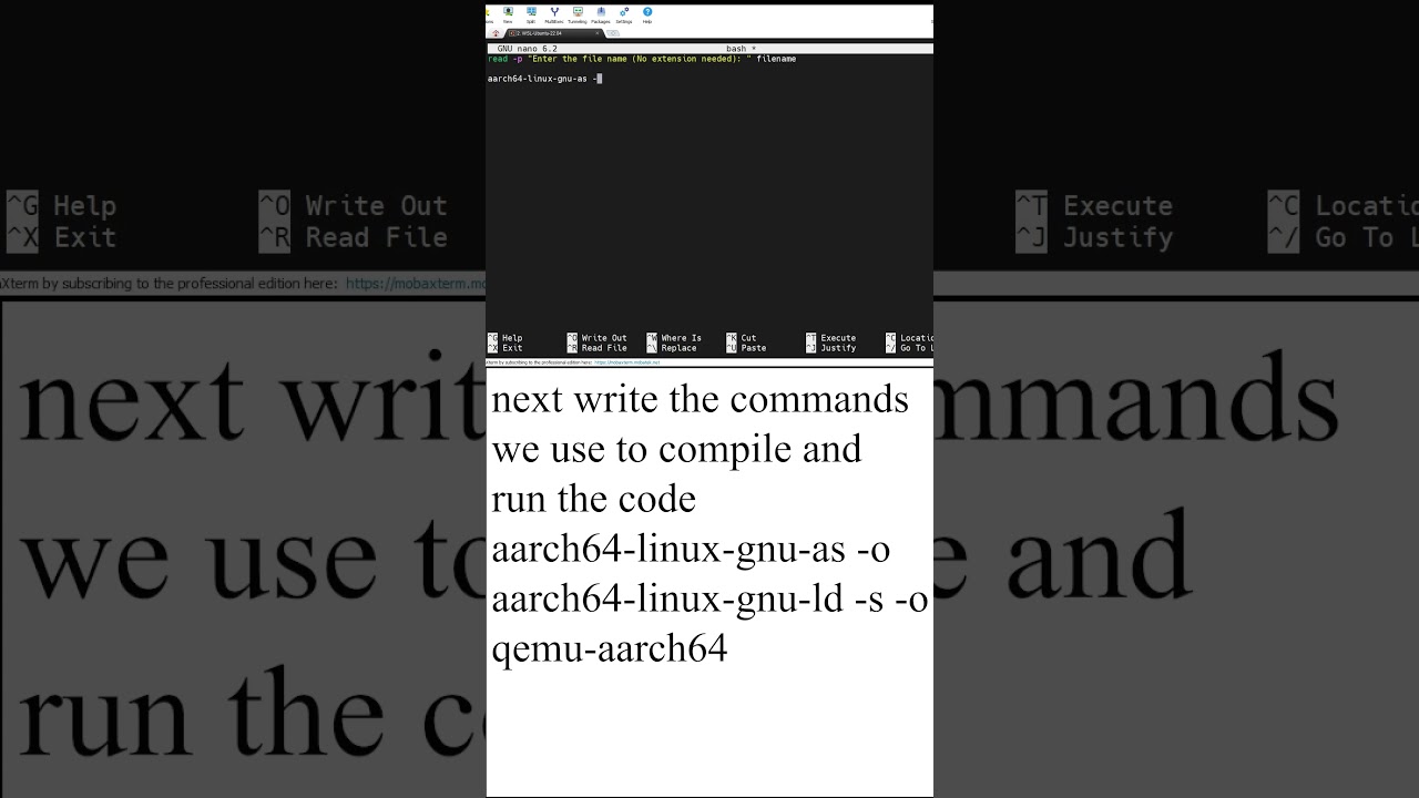 Bash Scripting 101: Make Your Computer Work for You! 💡