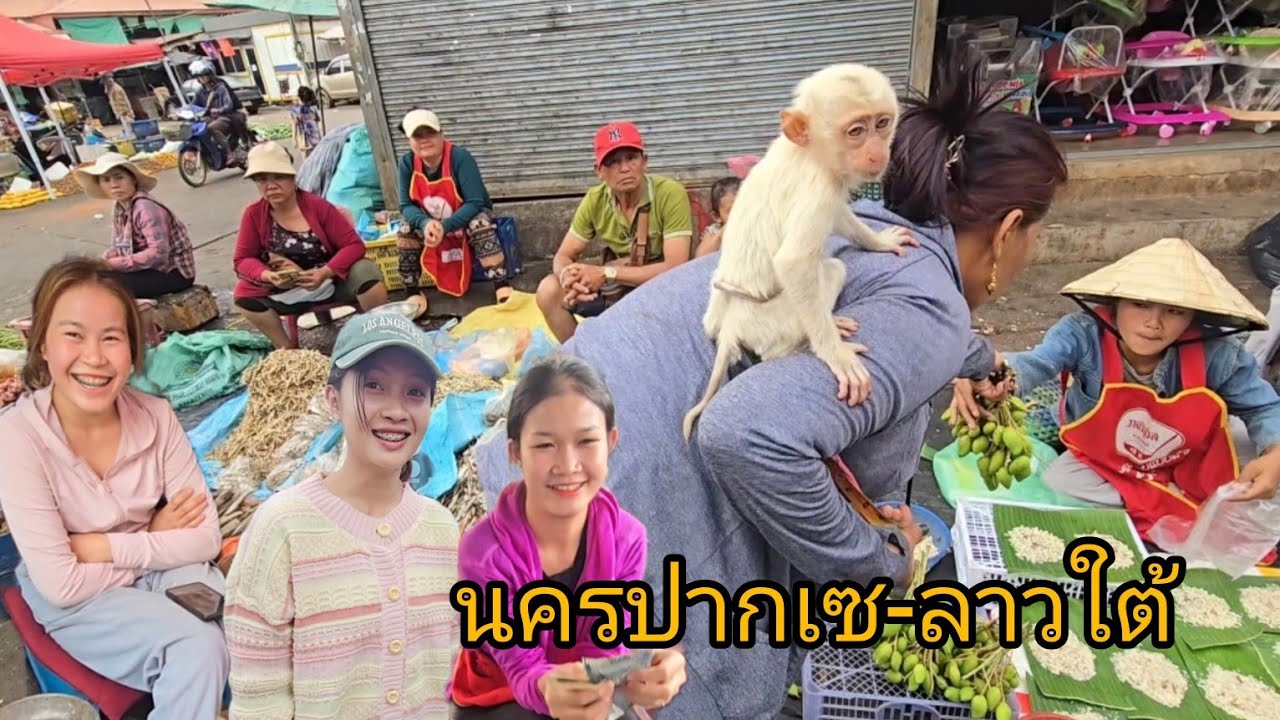 #food#เที่ยวลาวใต้ ตลาดนครปากเซ #ลาวใต้#ปลาแม่น้ำ#อาหารตามฤดูกาล วีถีค้าขายแห่งลาวใต้ #สาวลาว#สปปลาว