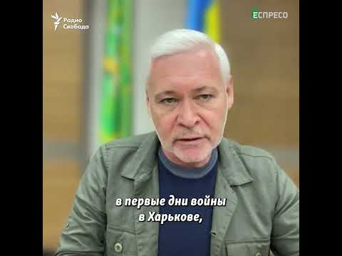 'Я никогда не