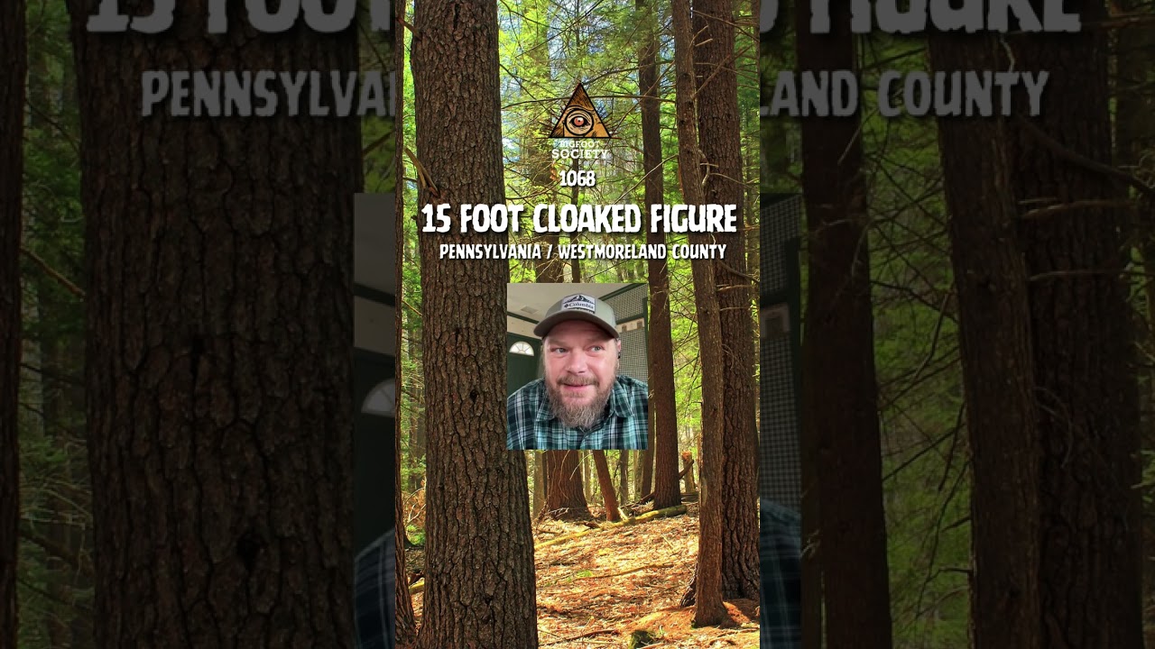 A lifelong hunter in Westmoreland County, Pennsylvania was sitting in his tree stand during bow