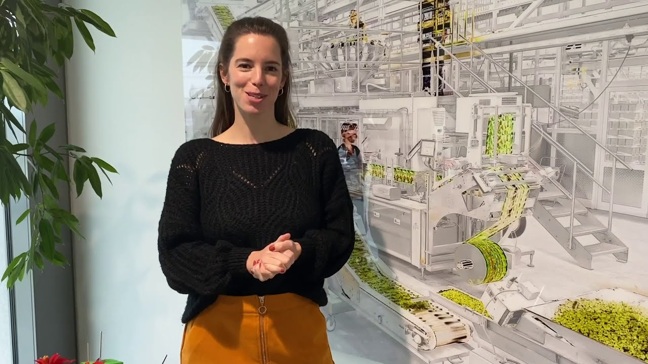 Arbeiten bei Em-eukal: Der süßeste Job der Welt! Jetzt bewerben!