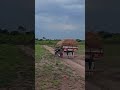 Video Motivacional | Caminhões | Reflexão