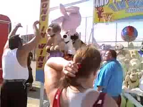 Illinois State Fair