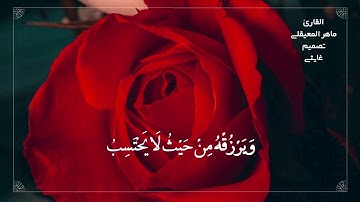 قران كريم بصوت ماهر المعيقلي /حالات واتس اب دينية / تلاوة خاشعة🌷♥️🕊