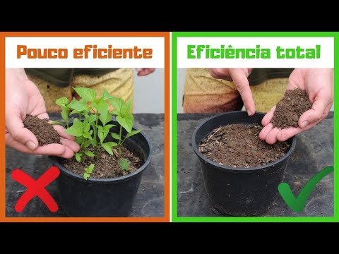 Vídeo: Compostagem de estrume de furão - cocô de furão é bom fertilizante para plantas