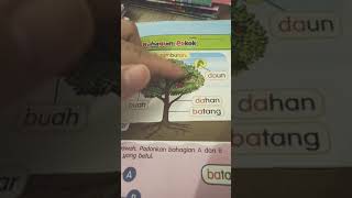 Learn Bahasa Melayu, K6 - Di dusun buah-buahan