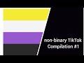 Nonbinary TikToks for pride month